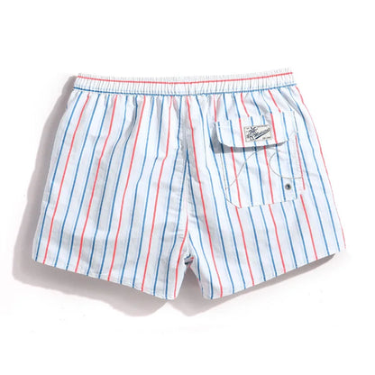 Coastal Stripes Swim Shorts